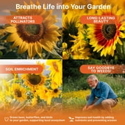 Sunflower Mix Seeds Pack 2 oz – 2,500+ Non-GMO Heirloom Seeds for Planting Indoors & Outdoors – Resealable Bag, High Germination, Pollinator-Friendly Wildflowers – USA Grown