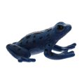 thumbnail image 4 of MasteelfCA Educational Animal Figure Collectible Toy Animal Cognition Action Figure, 4 of 7