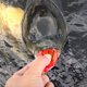 thumbnail image 4 of Cebos De Pesca Realistas, Señuelos De Pesca Cebo Negro 5 Piezas / Caja Accesorios De Aparejos De Pesca Para Agua Salada Para Entusiastas De La Pesca Para Agua Dulce, 4 of 8