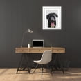 thumbnail image 3 of Fab Funky 20x24 White Modern Wood Framed Museum Art Print Titled - Black Labrador Plain, 3 of 4