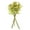 Bumblebee Yellow, variant on Vickerman 14" Mustard Yellow Artificial Wild Berry and Green Fern Bundle, 2 per bag.