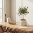 thumbnail image 6 of Ceramic Planter & Vase for Wabi Sabi Decor, 6.29 Inch Nordic Minimalist Flower Pot with Drainage Hole for Indoor Plants,  Tabletop Bookshelf & Living Room Decoration, Unique Gift (Antique Ivory), 6 of 14