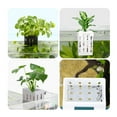 thumbnail image 2 of YongCo 2pieces Aquariums Planter Basket Fishtanks Planter Holder Fishtanks Cultivation Rack Hydroponic Plant, 2 of 20