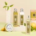 thumbnail image 4 of L'Occitane Leche Corporal de Verbena 250ml, 4 of 5