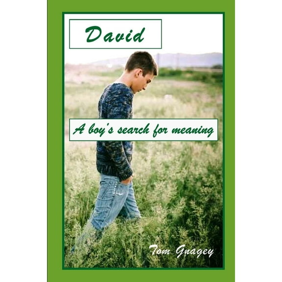 David and T.J. David: A teenboy's search for meaning, Book 1, (Paperback)