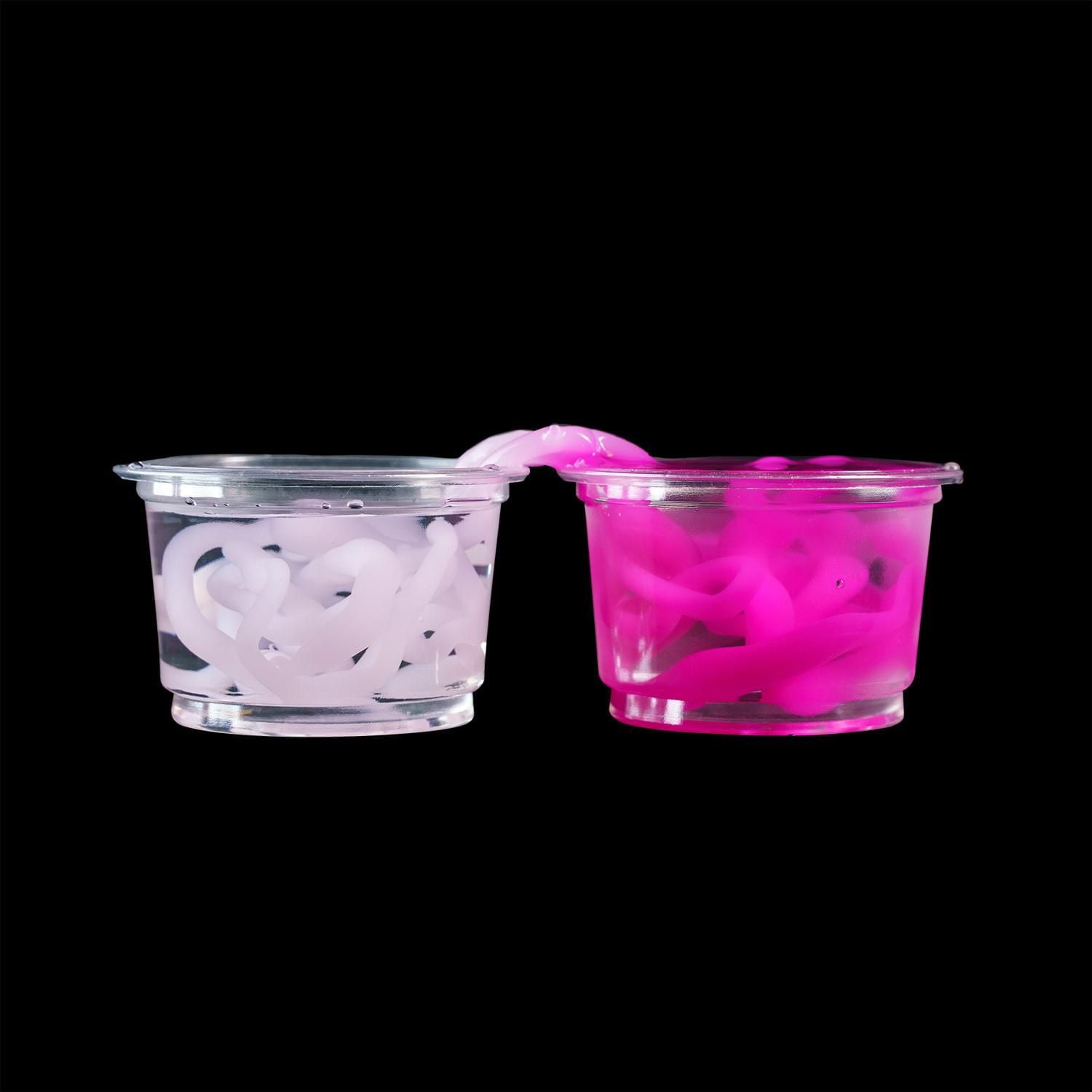 National Geographic Amazing Worms Chemistry Kit, STEM Science for Kids