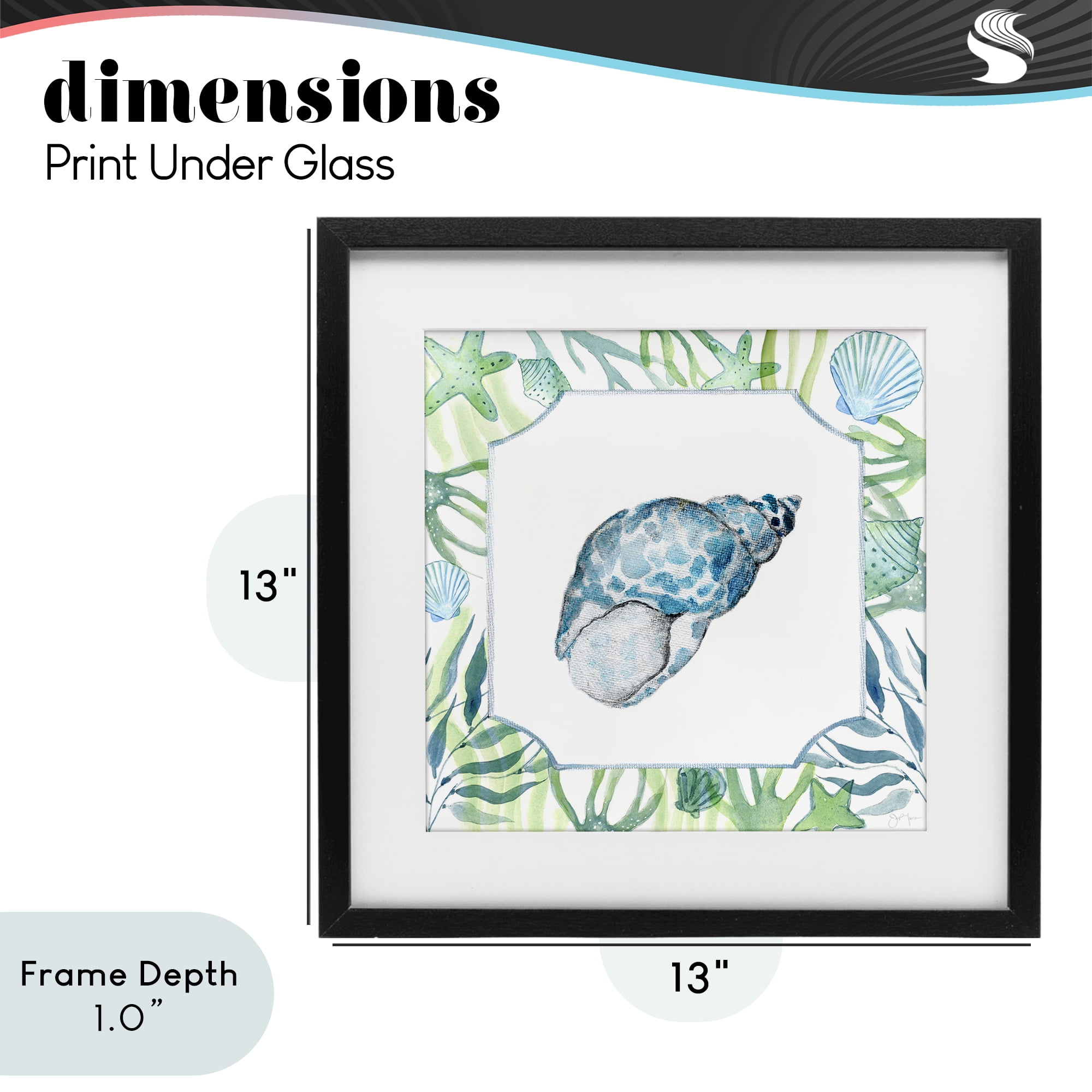Stupell Industries Spotted Cowrie with Seaweed Black Framed Print Under Glass, design by Janet Tava