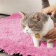 thumbnail image 4 of Dog Kennel Cats Cushion Fall And Winter Warm Dog Cushion Cushion Dog Bed Comfortable Cats Kennel Dog Kennel Pet Supplies Long Hair Velvet Pet Cushion, 4 of 6