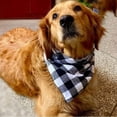 thumbnail image 3 of Cute Plaid Bandana Scarf for Pets - Perfect for Dogs, Puppies, and Cats - Festive Accessory for Holiday Decorations, 3 of 4