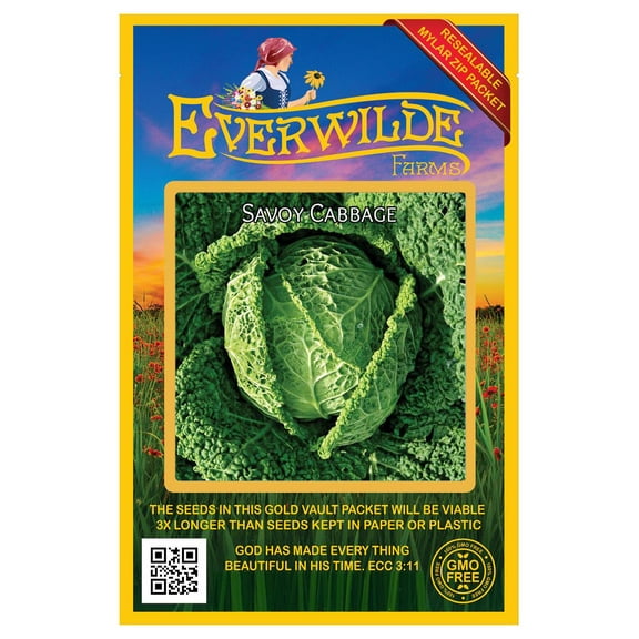Everwilde Farms - 500 Savoy Cabbage Seeds - Gold Vault Jumbo Bulk Seed Packet