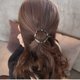thumbnail image 4 of 4 piezas de cabello de resina acrílica Lurrose, pinzas para el cabello con círculo de leopardo geométrico para fiesta, 4 of 5
