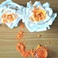thumbnail image 3 of Bakell - Classic Orange Luster Dust and Cake Paint - Fine Metallic Sheen, 4g Spray Pump, 3 of 7