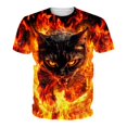 thumbnail image 4 of Men 3D Flame Graphic Crew Neck T-Shirt, Loose Fit Short Sleeve Cool Fire and Fierce Cat Print Basic Tee Summer Daily Casual Streetwear Tops(Black,XXL), 4 of 5