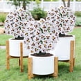 thumbnail image 4 of Orquídea Mariposa Artificial Flor de Simulación, Planta Decorativa de Plástico de 15.75 Pulgadas con Maceta, Inserción de Suelo Multicolor Realista para Decoración de Bodas Jardín Exterior, 4 of 6