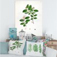 thumbnail image 2 of Designart ' Ancient Plant Life XIX ' Farmhouse Canvas Wall Art Print, 2 of 4