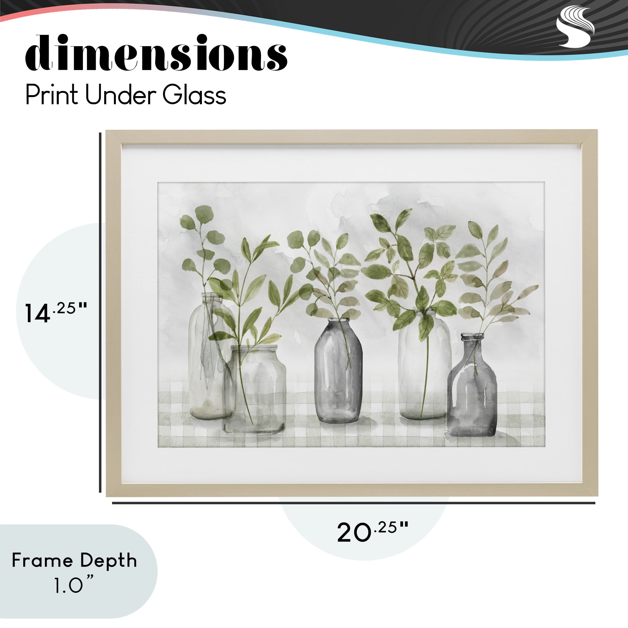 Stupell Industries Greenery Leaves in Vases Birch Framed Print Under Glass, design by Nan