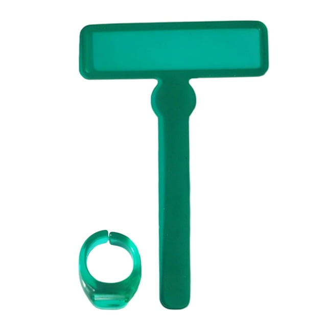 Dyslexia Tools for Kids Guided Reading Strips Tools Colored Highlighter Overlay Green
