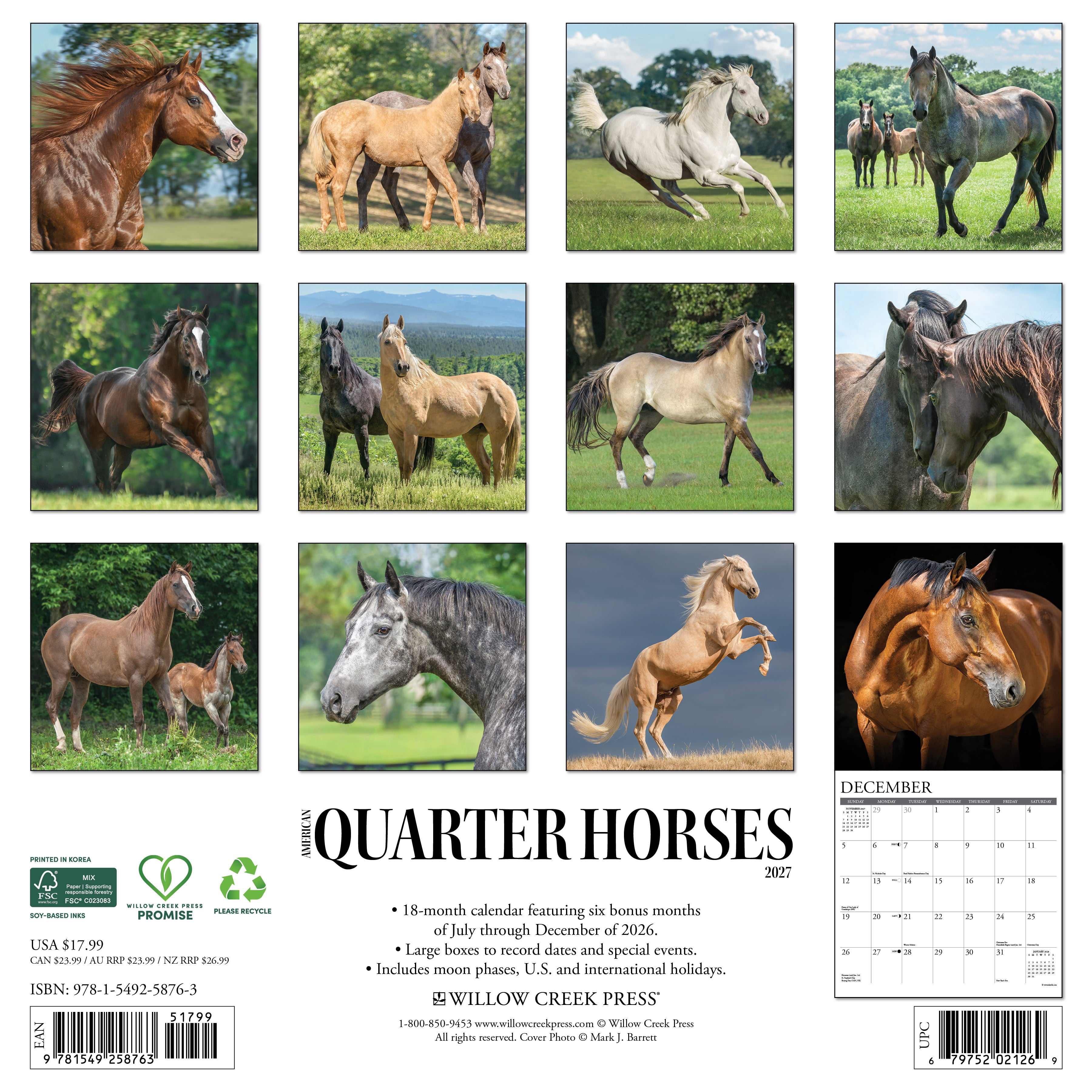 Willow Creek Press, American Quarter Horses 2027 Wall Calendar