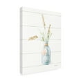 thumbnail image 2 of Danhui Nai 'Beach Flowers III Neutral' Canvas Art, 2 of 3