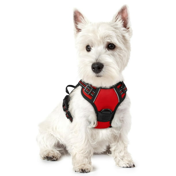 Arnés para perros Rabbitgoo, sin tirones, ajustable, rojo, para perros XS