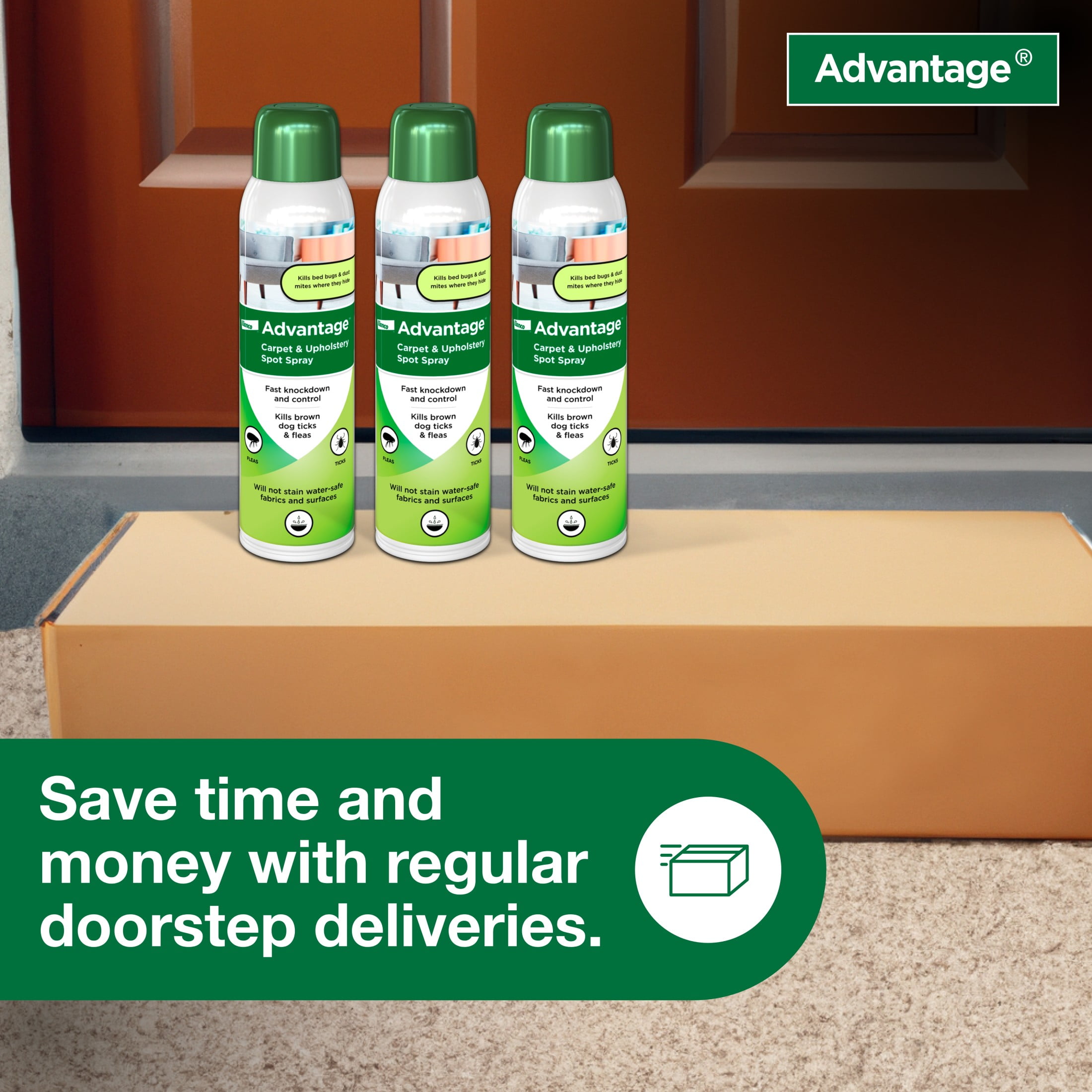 Advantage Carpet & Upholstery Spot Spray, Kills Fleas & Ticks & Bedbugs, 16 oz.