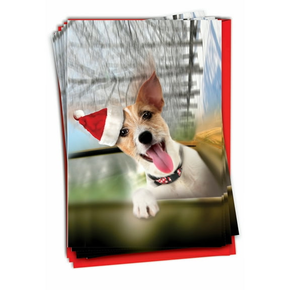 B6481BXSG Holiday Doggie In The Window Christmas Cards' Pack of 12 Humorous Merry Christmas Greeting Cards with Envelopes by NobleWorks