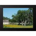 thumbnail image 2 of Highsmith, Carol 18x13 Black Modern Framed Museum Art Print Titled - Horse on a meadow in the Lyndon B. Johnson National Historical Park in Johnson City, TX, 2 of 5