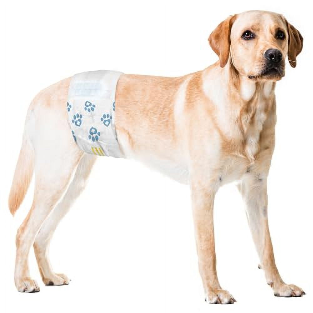 Male Wraps, Disposable Dog Diapers, 1-Tab Large, Lavender, 72 Count - Snag-Free Fastener, Leak Protection, Wetness Indicator