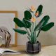 thumbnail image 2 of 2025 10289 Plant Series Bird of Paradise Artificial Flower Home Decoration, 2 of 5