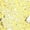 Yellow, variant on Women Sequins Latin Dance Outfits Sleeveless Tassel Leotard Fringed Tango Salsa Dance Dress with Gloves Blue S