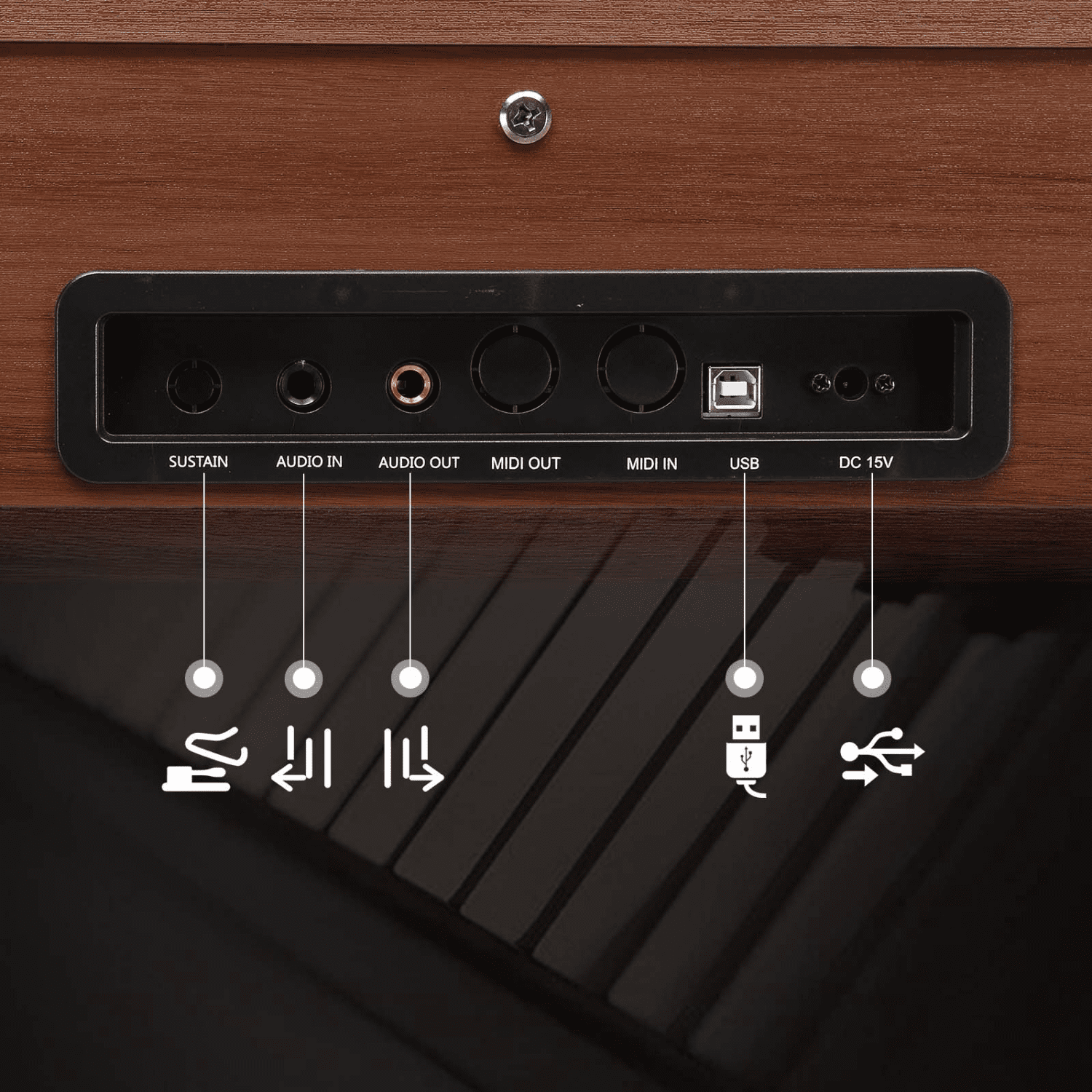 Hassch Digital Piano Keyboard for Beginners, 88 Keys Full Weighted Electric Piano with Stand, Headphone, Power Adapter, and Triple Pedals, Walnut