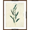 thumbnail image 5 of Art.com Botanical Study V Art Print by Julia Purinton, Brown Frame Wall Art, 23" x 29", 5 of 5