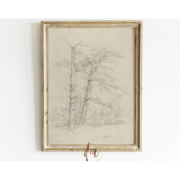 Antique Tree Drawing, Vintage Tree Sketch, French Country Farmhouse Decor, Vintage Sketch, Able Art Wall Art, Modern Wall Decor, 8x12 UNFRAMED
