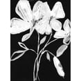 thumbnail image 2 of Goldberger, Jennifer 25x32 White Modern Wood Framed Museum Art Print Titled - White Whimsical Flowers I, 2 of 4