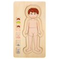 thumbnail image 3 of Human Body Structure Brick Toy, Durable Multilayer Brick Toy, Early Educational Intelligent Brick Toy For Boys Girls, 3 of 8