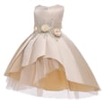 thumbnail image 5 of Baby Girl Flower Pattern Show Dress Birthday Party Formal Dress, 5 of 10