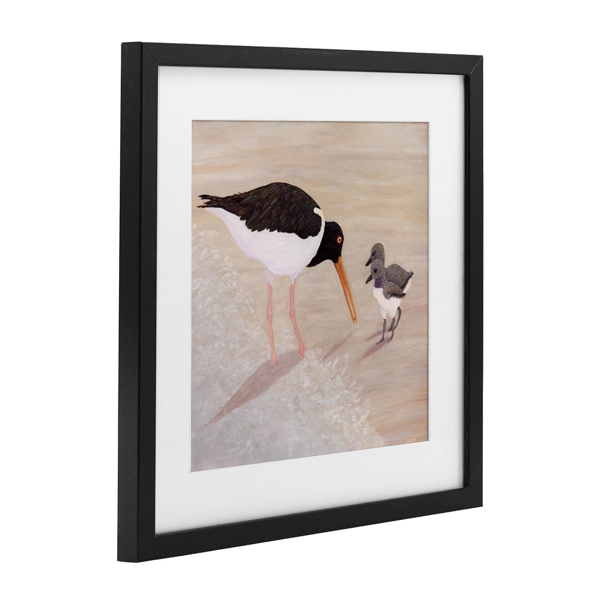 Stupell Industries American Oyster Catcher & Chicks Black Framed Print Under Glass, design by Barbara Fallenbaum