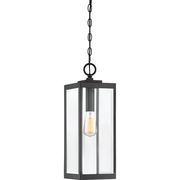 Westover 1-Light Earth Black Outdoor Hanging Lantern