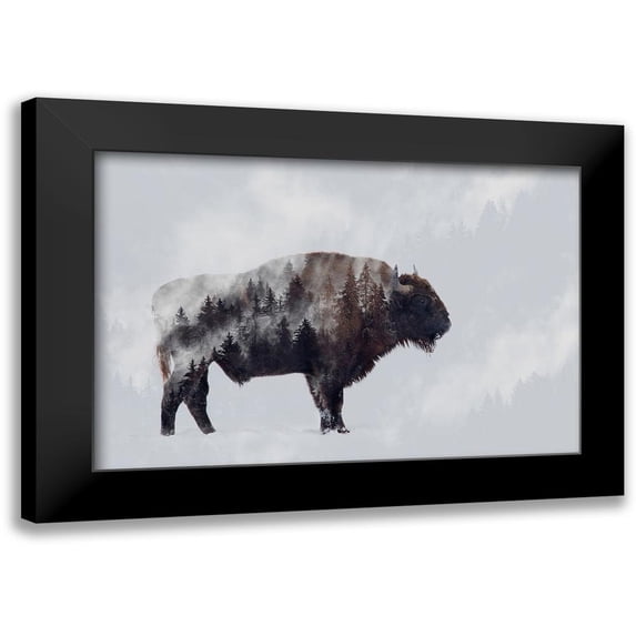 Beata, Angyalosi 24x17 Black Modern Framed Museum Art Print Titled - Bison - Double Exposure