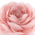 thumbnail image 4 of JWH Stereo Flower Throw Pillow Covers Aesthetic Decorative Floral Accent Pillows Round Rose Cushion 14inch Bright Pink, 4 of 10