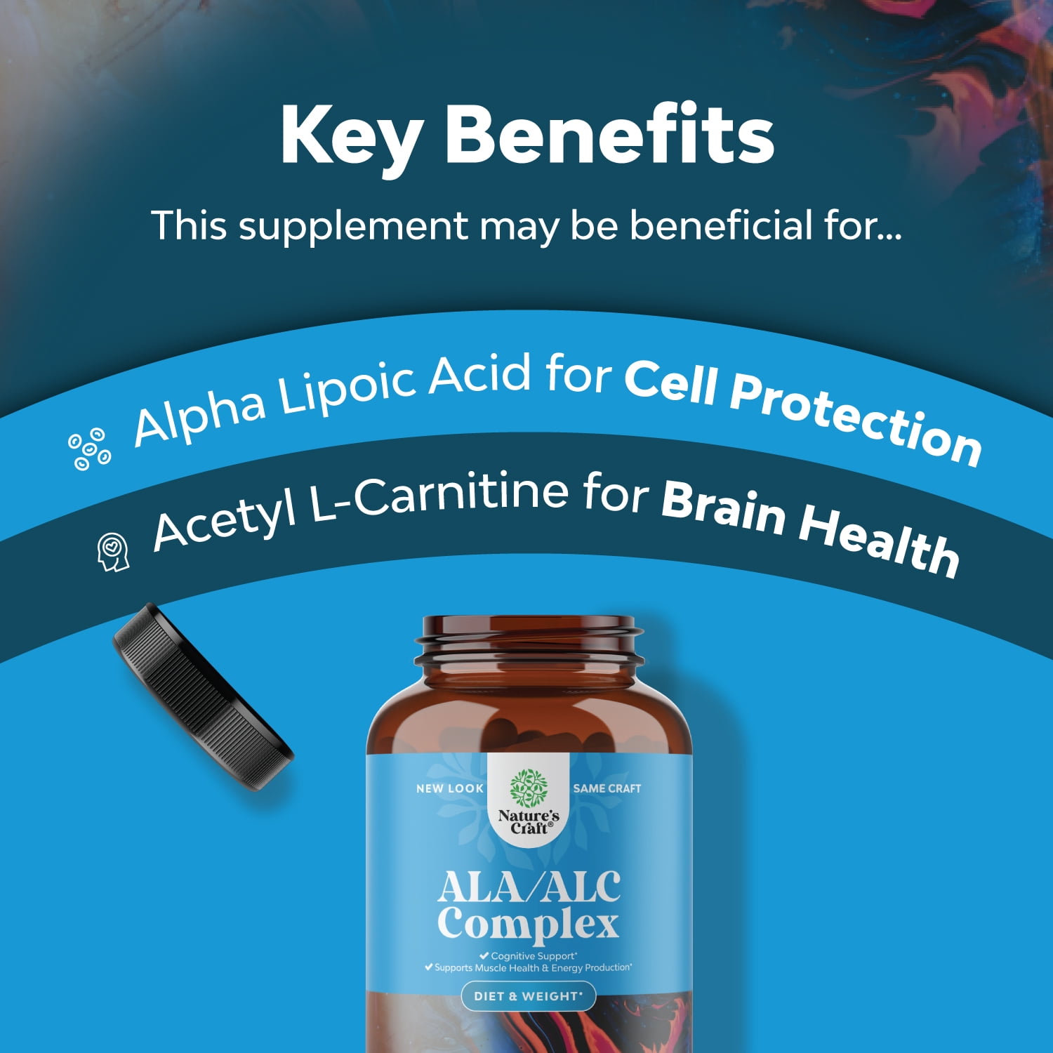 Acetyl LCarnitine / Alpha Lipoic Acid Nature's Craft ALA / ALC Amino