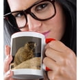 thumbnail image 2 of 3drose, Usa, Colorado, Mt. Evans. Yellow-bellied Marmot Close-up, 15oz Two-tone Red Mug, 2 of 6