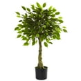 thumbnail image 1 of Arbre Ficus 3 Pieds Résistant aux UV (Intérieur/extérieur), 1 of 4