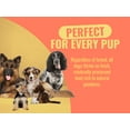 thumbnail image 6 of Azestfor Homemade Dog Food Supplement Dog Vitamins Made in USA Add to Holistic Whole Food Diets Raw BARF All Breeds Puppy Adult 16oz Powder, 6 of 14