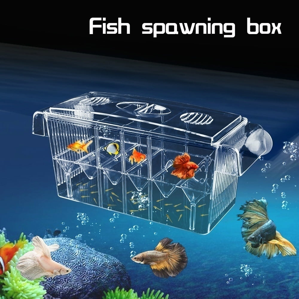 LLY Acrylic Isolation Box Fish Tank Breeder Box Divider for Small Baby Fishes 