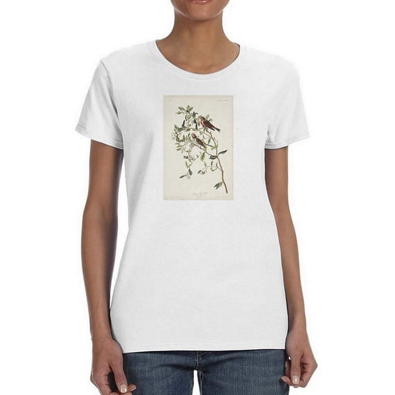 Lesser Red Poll T-Shirt Women -John James Audubon Designs, Female XX-Large