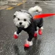 thumbnail image 4 of 4 piezas de zapatos de lluvia para perros y mascotas, de silicona, antideslizantes, impermeables, transpirables, suministros para días lluviosos para perros pequeños, medianos y grandes, gatos, 4 of 5