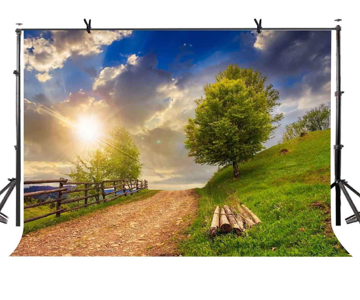 8x8FT Vinyl Photography Backdrop,Sunset Sky in Forest Photo Background for Photo Booth Studio Props 8x8FT Vinyl Photography Backdrop,Sunset Sky in Forest Photo Background for Photo Booth Studio Props