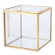 thumbnail image 4 of Rankomu Vidrio de terrario, plantador de decoración de Mesa de terrario de Plantas para Plantas suculentas, plantador de Plantas de Vidrio geométrico con Borde Dorado, 4 of 5