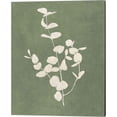 thumbnail image 3 of Great Art Now Botanical Study Forest Green by Julia Purinton 2 Piece Canvas Art Set Each 12"W x 15"H, 3 of 3